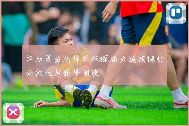 评论员分析绿军双探花分道扬镳的必然性与薪资困境