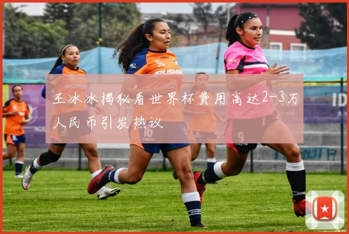 王冰冰揭秘看世界杯费用高达2-3万人民币引发热议